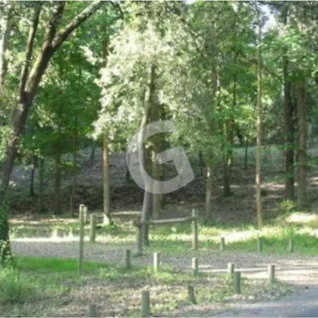 Maison Pour 6, Proche Plage, Foret Et Commerces A - Fr-1-194-384 펜션