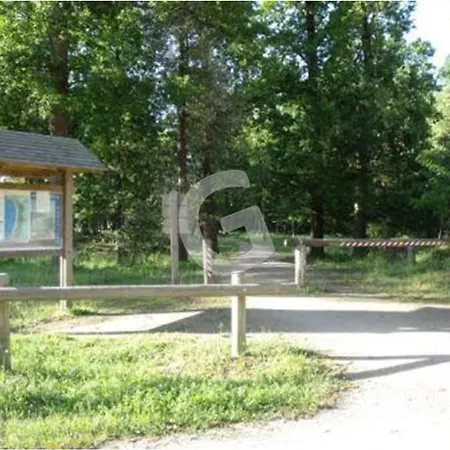 Maison Pour 6, Proche Plage, Foret Et Commerces A - Fr-1-194-384 Holiday home Longeville-sur-Mer