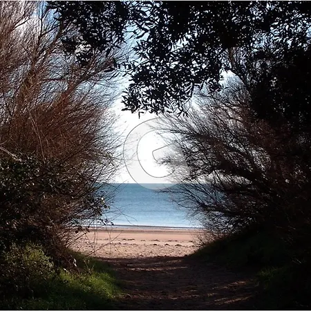 Maison Pour 6, Proche Plage, Foret Et Commerces A - Fr-1-194-384