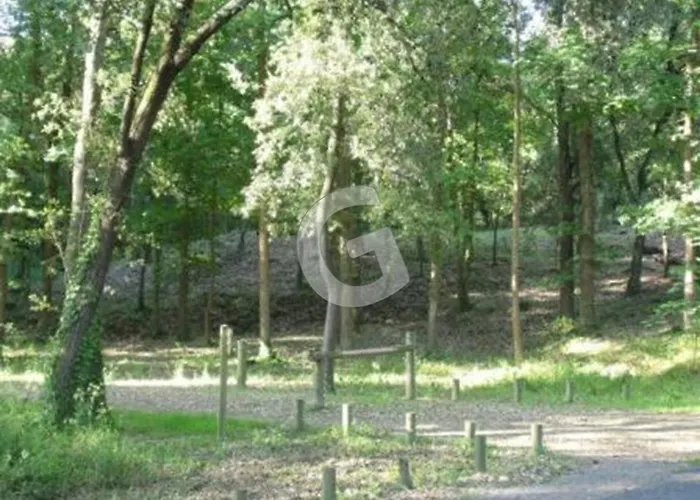 Maison Pour 6, Proche Plage, Foret Et Commerces A - Fr-1-194-384 Holiday home