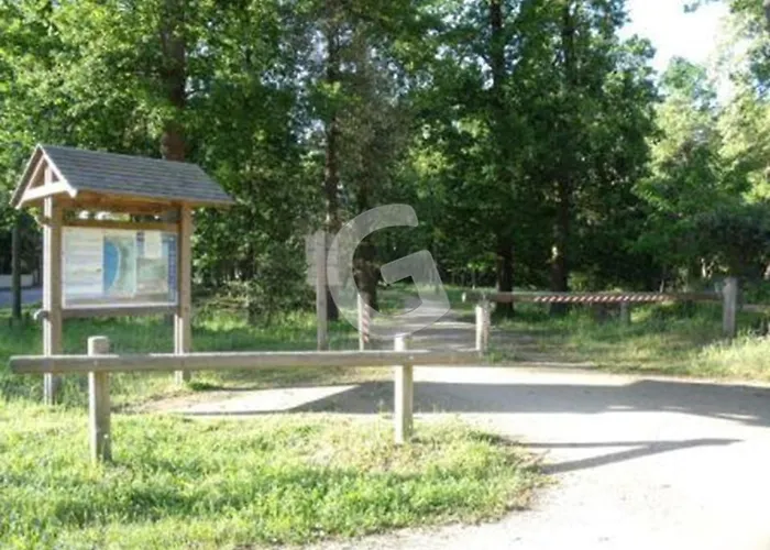 Maison Pour 6, Proche Plage, Foret Et Commerces A - Fr-1-194-384 Holiday home Longeville-sur-Mer