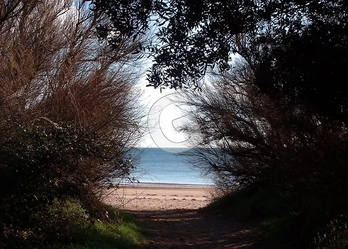 Maison Pour 6, Proche Plage, Foret Et Commerces A - Fr-1-194-384